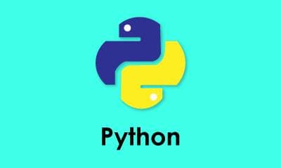 Top Python Libraries Every Developer Should Know