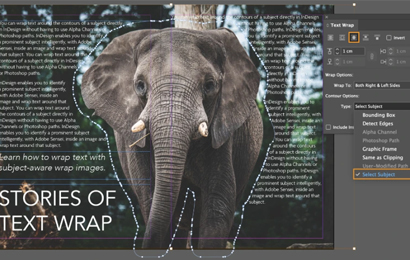 Adobe InDesign